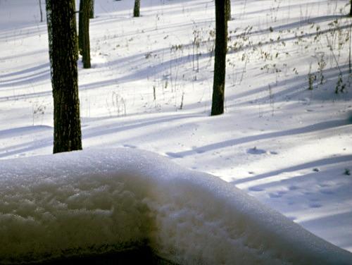 Дмитрий Медведев стал фотографом