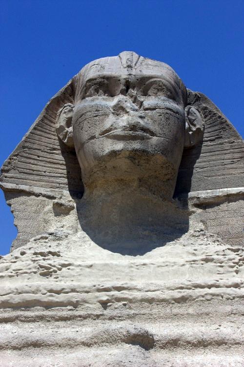 Дмитрий Медведев стал фотографом