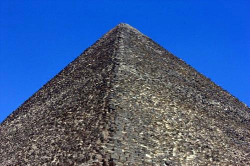 Дмитрий Медведев стал фотографом