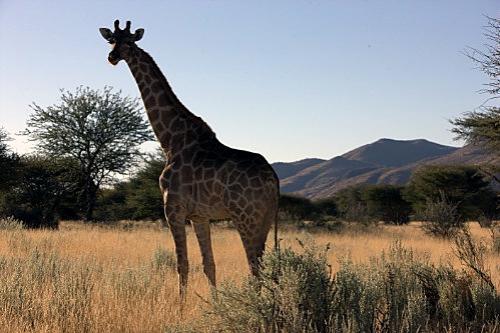 Дмитрий Медведев стал фотографом