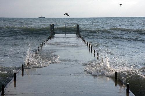 Дмитрий Медведев стал фотографом