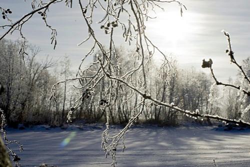 Дмитрий Медведев стал фотографом