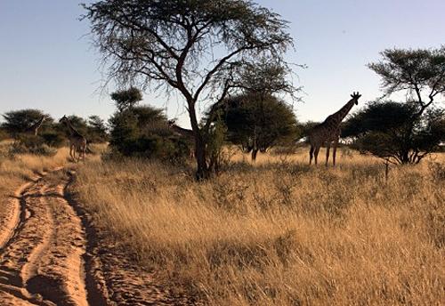 Дмитрий Медведев стал фотографом