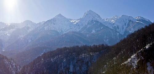 Дмитрий Медведев стал фотографом