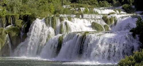 Дмитрий Медведев стал фотографом