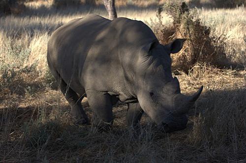 Дмитрий Медведев стал фотографом