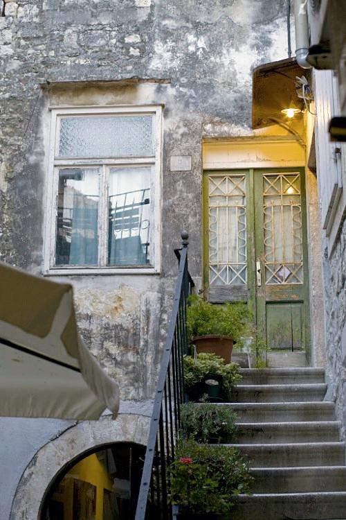 Дмитрий Медведев стал фотографом