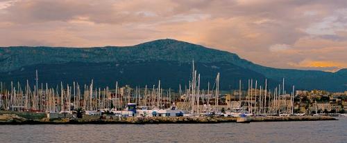 Дмитрий Медведев стал фотографом