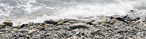 Дмитрий Медведев стал фотографом