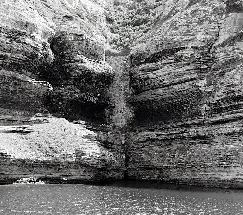 Дмитрий Медведев стал фотографом