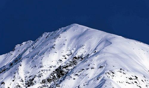 Дмитрий Медведев стал фотографом
