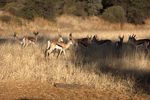 Дмитрий Медведев стал фотографом