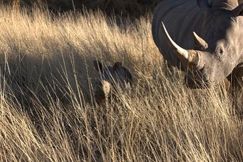 Дмитрий Медведев стал фотографом