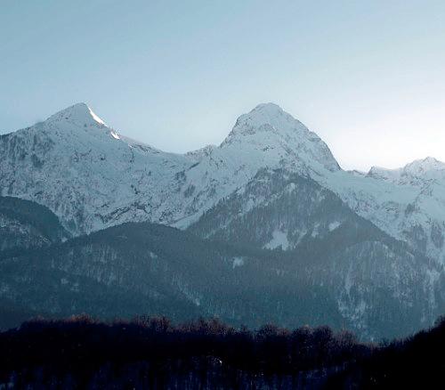 Дмитрий Медведев стал фотографом