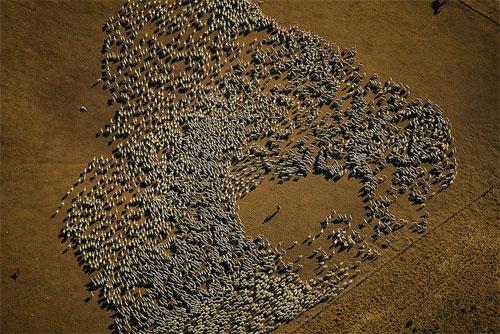 Француз создал «портреты Земли»