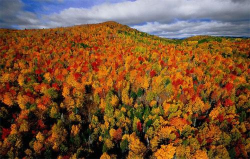 Француз создал «портреты Земли»