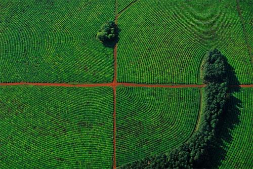 Француз создал «портреты Земли»