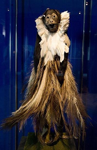 Мумии — мечта о вечной жизни