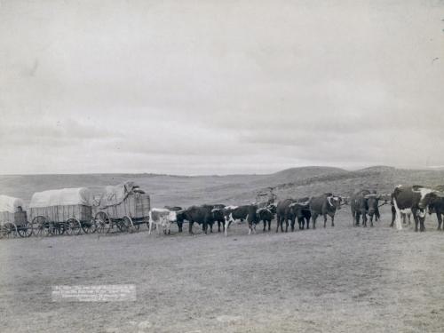 Дикий Запад на снимках Джона Грабила