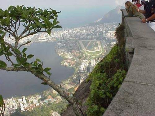 Статуе Христа Спасителя – 75 лет !