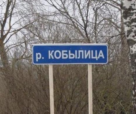 Веселые названия русских деревень и рек