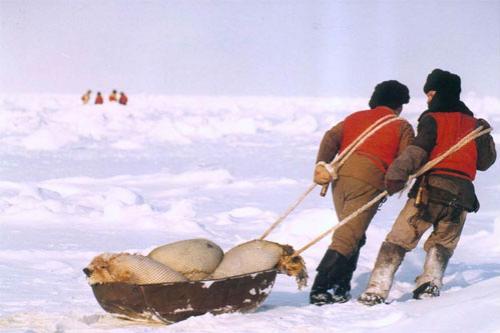 Концлагеря бельков на архангельской земле