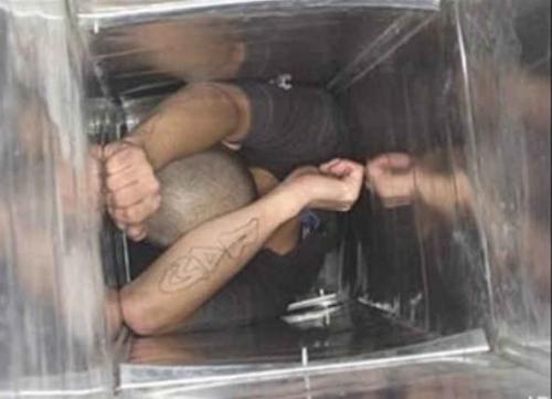 А все потому, что у кого-то слишком глупая голова