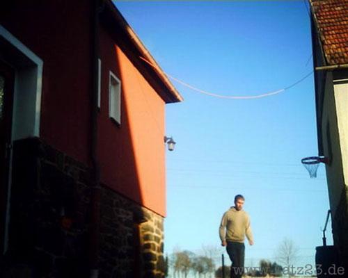 По улицам Европы гуляют кошки-фотографы