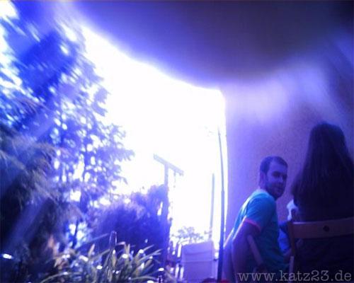 По улицам Европы гуляют кошки-фотографы