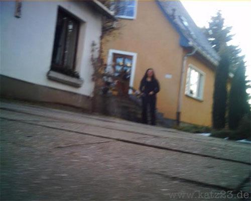 По улицам Европы гуляют кошки-фотографы