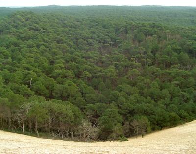 Великая дюна Пила во Франции