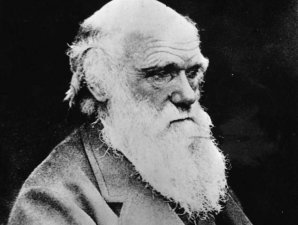 Знаменитости, к которым успех пришел после сорока