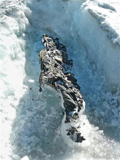 12 страшных находок, обнаруженных в ледниках