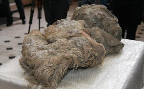 12 страшных находок, обнаруженных в ледниках