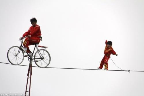 3-летняя девочка прошла по канату над вольером голодных тигров