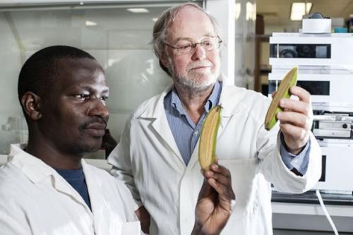 Топ-25 изобретений уходящего года