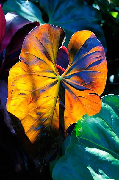 Победители ежегодного фотоконкурса Focus on Nature