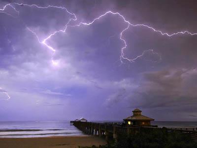 Победители ежегодного фотоконкурса Focus on Nature