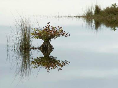 Победители ежегодного фотоконкурса Focus on Nature