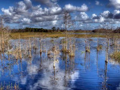 Победители ежегодного фотоконкурса Focus on Nature