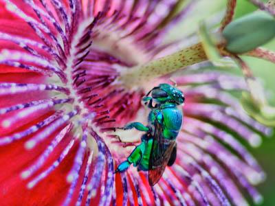 Победители ежегодного фотоконкурса Focus on Nature