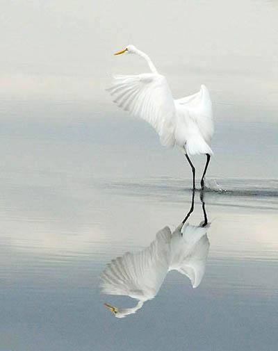 Победители ежегодного фотоконкурса Focus on Nature