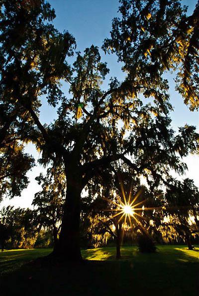 Победители ежегодного фотоконкурса Focus on Nature