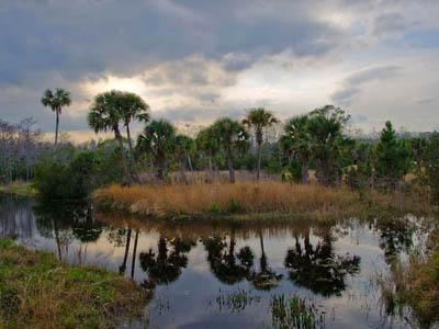 Победители ежегодного фотоконкурса Focus on Nature