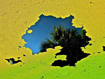 Победители ежегодного фотоконкурса Focus on Nature