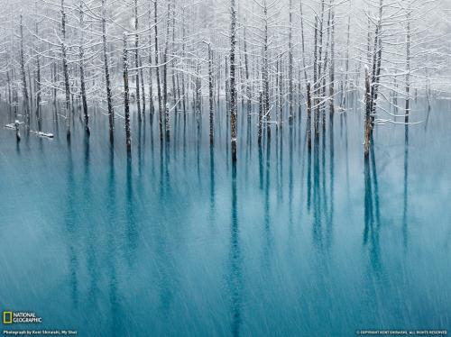 Лучшие фото ноября от National Geographic