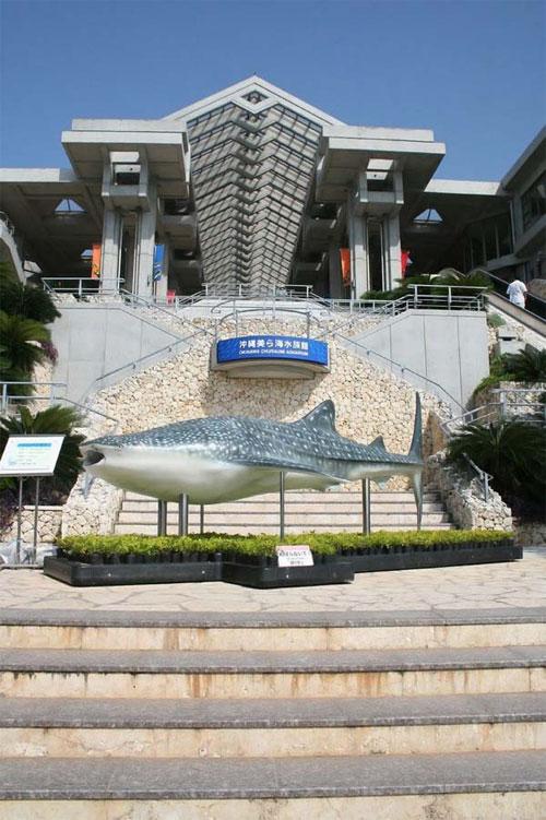 Гигантский аквариум в Окинаве потрясает воображение