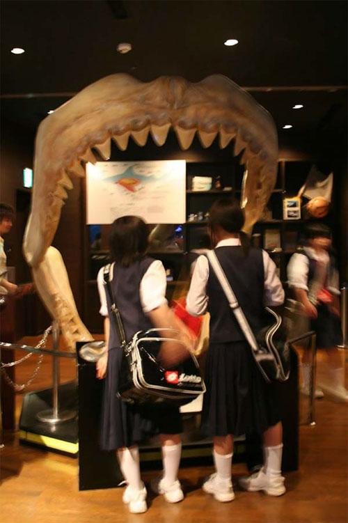 Гигантский аквариум в Окинаве потрясает воображение