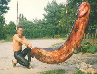 Казахтанцы просят власть спасти от гигантского сома-людоеда