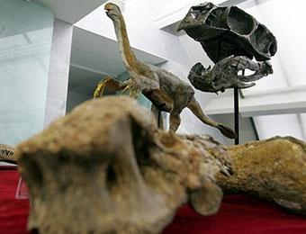 Китайские крестьяне сварили детям динозавра
